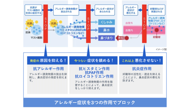 アレルギー症状の発生と進行を3つの作用でブロックする仕組みを説明する図。アレルギー反応の発生を抑える『抗アレルギー作用』、症状を鎮める『抗ヒスタミン作用・抗PAF作用・抗ロイコトリエン作用』、悪化を防ぐ『抗炎症作用』の3つのメカニズムが示されている