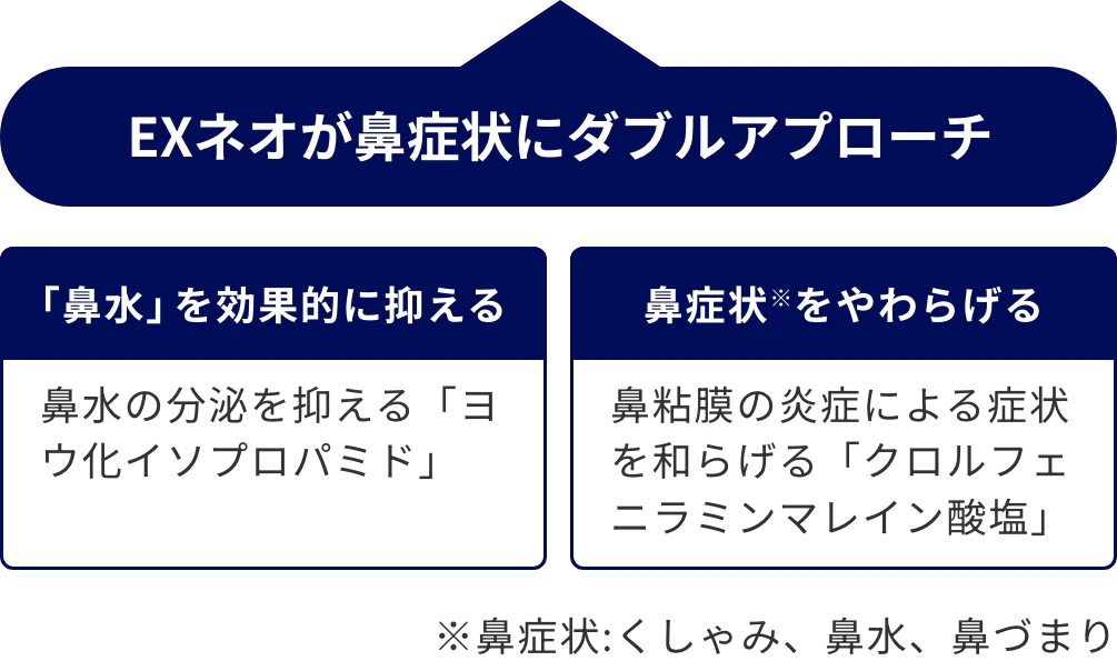EXネオが鼻症状にダブルアプローチ 鼻水を効果的に抑える:鼻水の分泌を抑える「ヨウ化イソプロパミド」 鼻症状※をやわらげる:鼻粘膜の炎症による症状を和らげる「クロルフェニラミンマレイン酸塩」 ※鼻症状:くしゃみ、鼻水、鼻づまり
