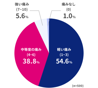 痛みなし(0)1.0%、軽い痛み(1〜3)54.6%、中程度の痛み(4〜6)38.8%、強い痛み(7〜10)5.6%