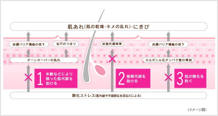 ハイチオールBクリアの働き