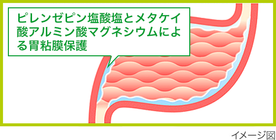 ピレンゼピン塩酸塩とメタケイ酸アルミン酸マグネシウムによる胃粘膜保護