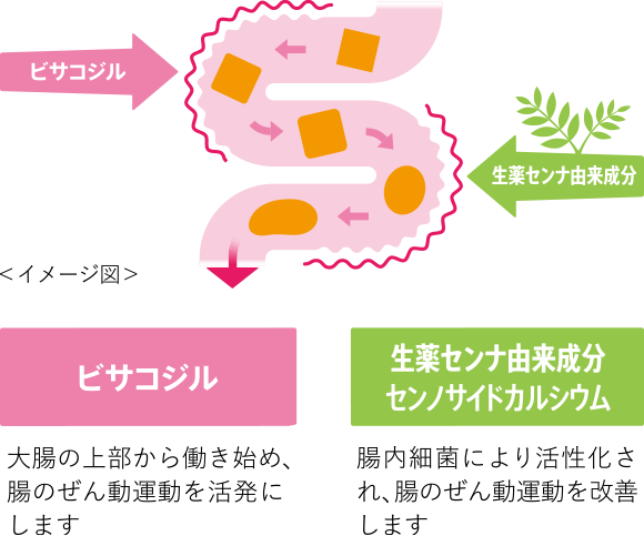 頑固な便秘に効く2つの有効成分