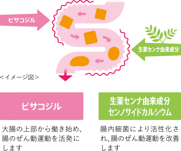 頑固な便秘に効く2つの有効成分