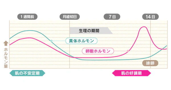 生理の周期のグラフ
