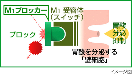 M1受容体ブロック