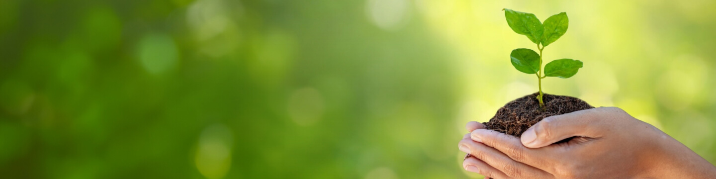 サステナビリティ