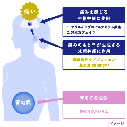 つらい頭痛に速攻！ イブクイック頭痛薬DX | 製品ラインナップ