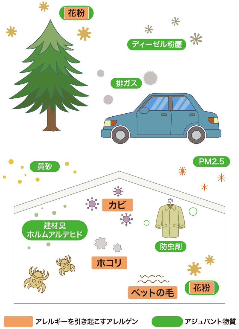 実は身近にいっぱい、アレルゲンとアジュバント物質