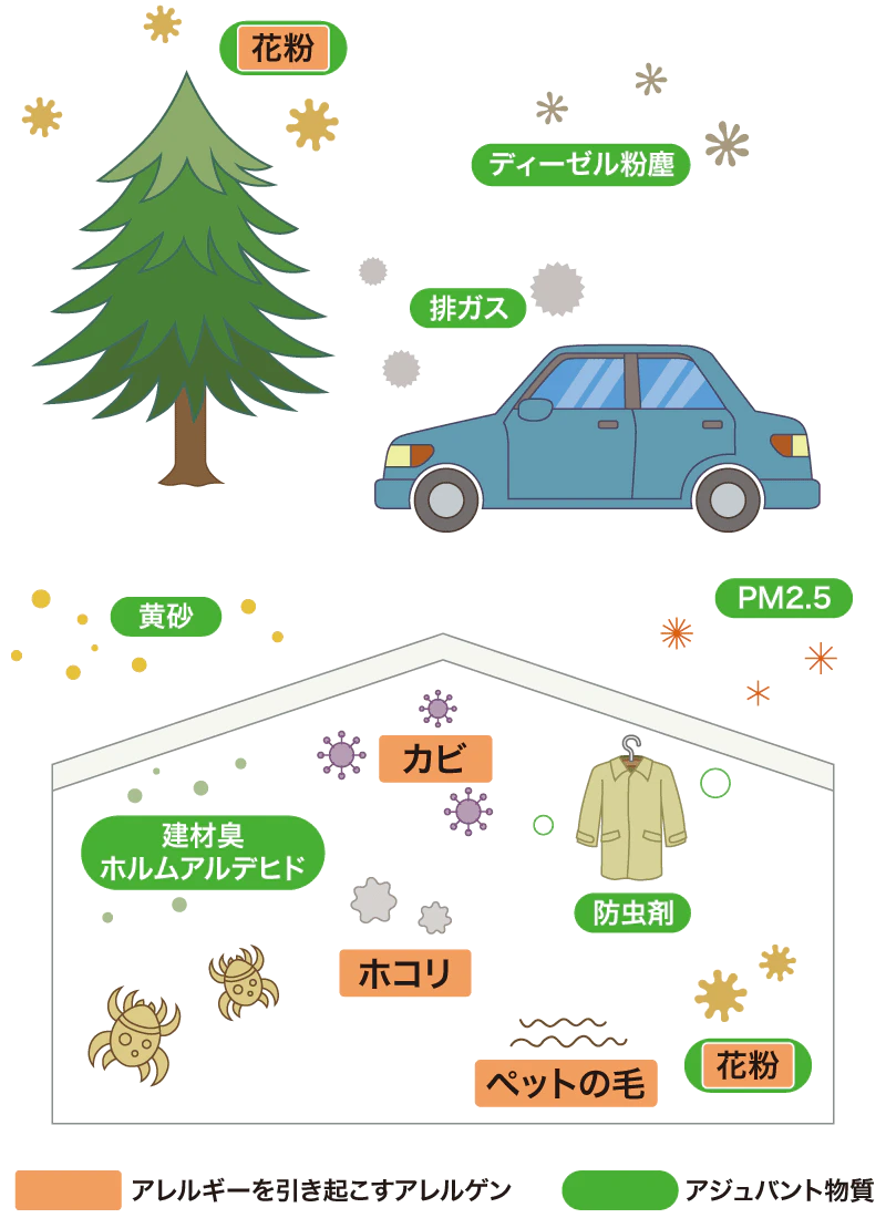 実は身近にいっぱい、アレルゲンとアジュバント物質