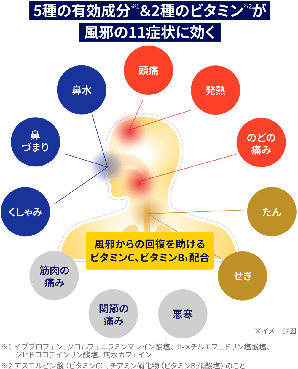 「頭痛、発熱、のどの痛み、たん、せき、悪寒、関節の痛み、筋肉の痛み、くしゃみ、鼻づまり、鼻水」風邪からの回復を助ける（ビタミンC・B1）