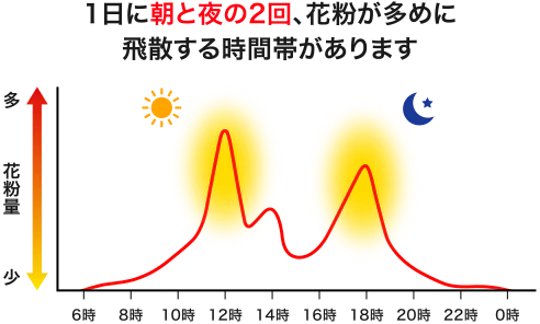 昼間に多く飛散 日没前後に多く飛散