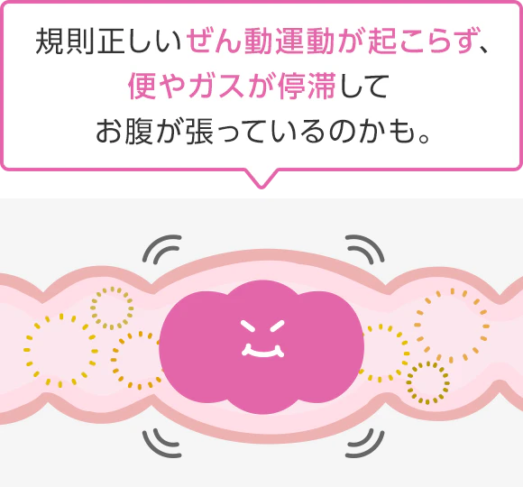規則正しいぜん動運動が起こらず、便やガスが停滞してお腹が張っているのかも。
