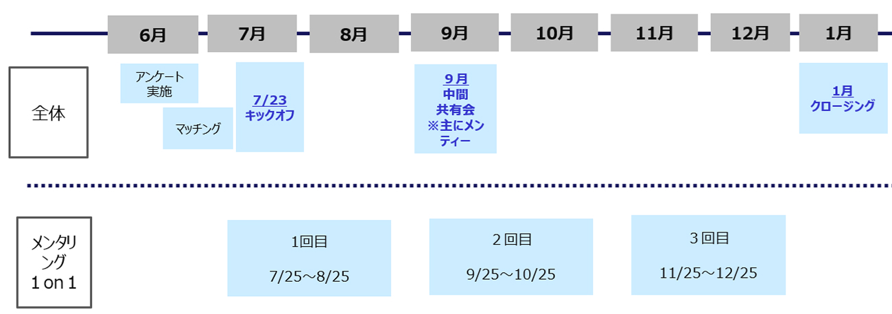 実施期間のスケジュール