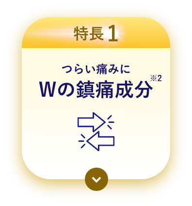 特長1 つらい痛みにWの鎮痛成分