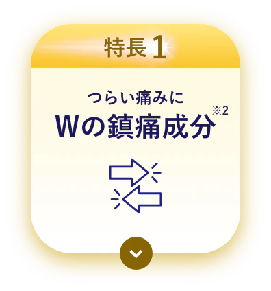 特長1 つらい痛みにWの鎮痛成分