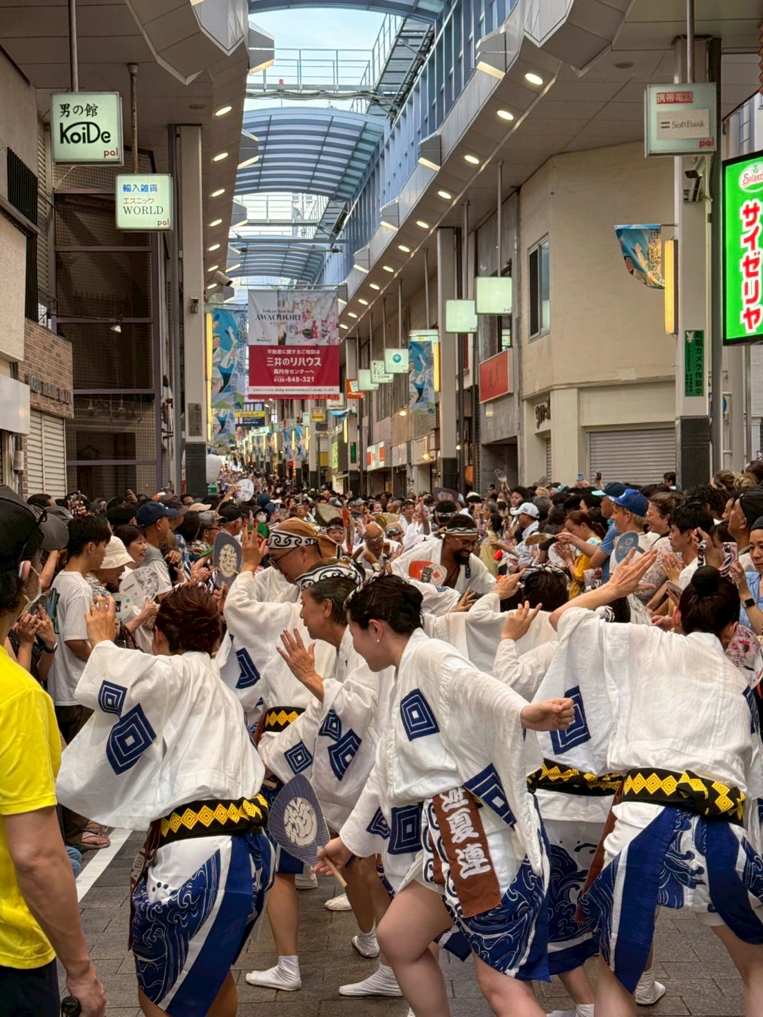 第66回 東京高円寺阿波おどり