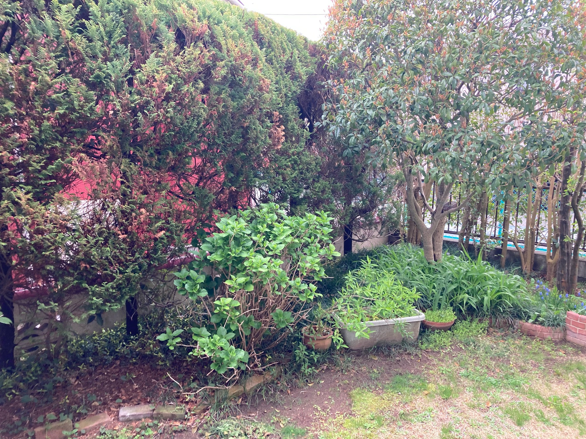 新規フェンス設置工事 Before