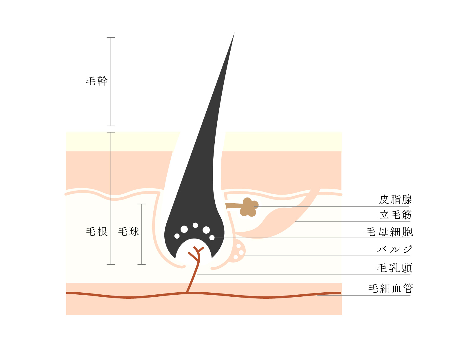 1.タイトル入ります