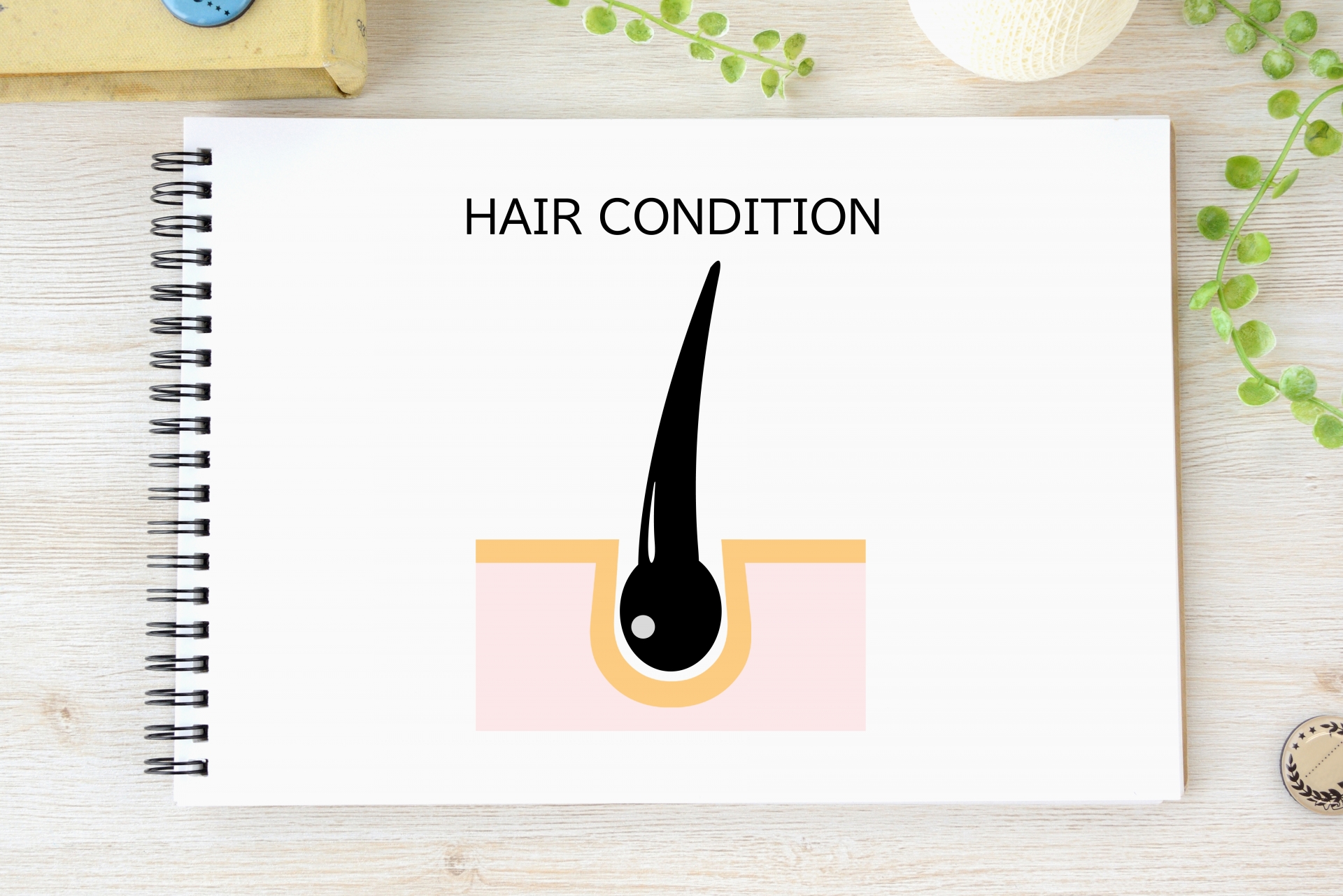 1.タイトル入ります