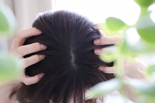 1.タイトル入ります