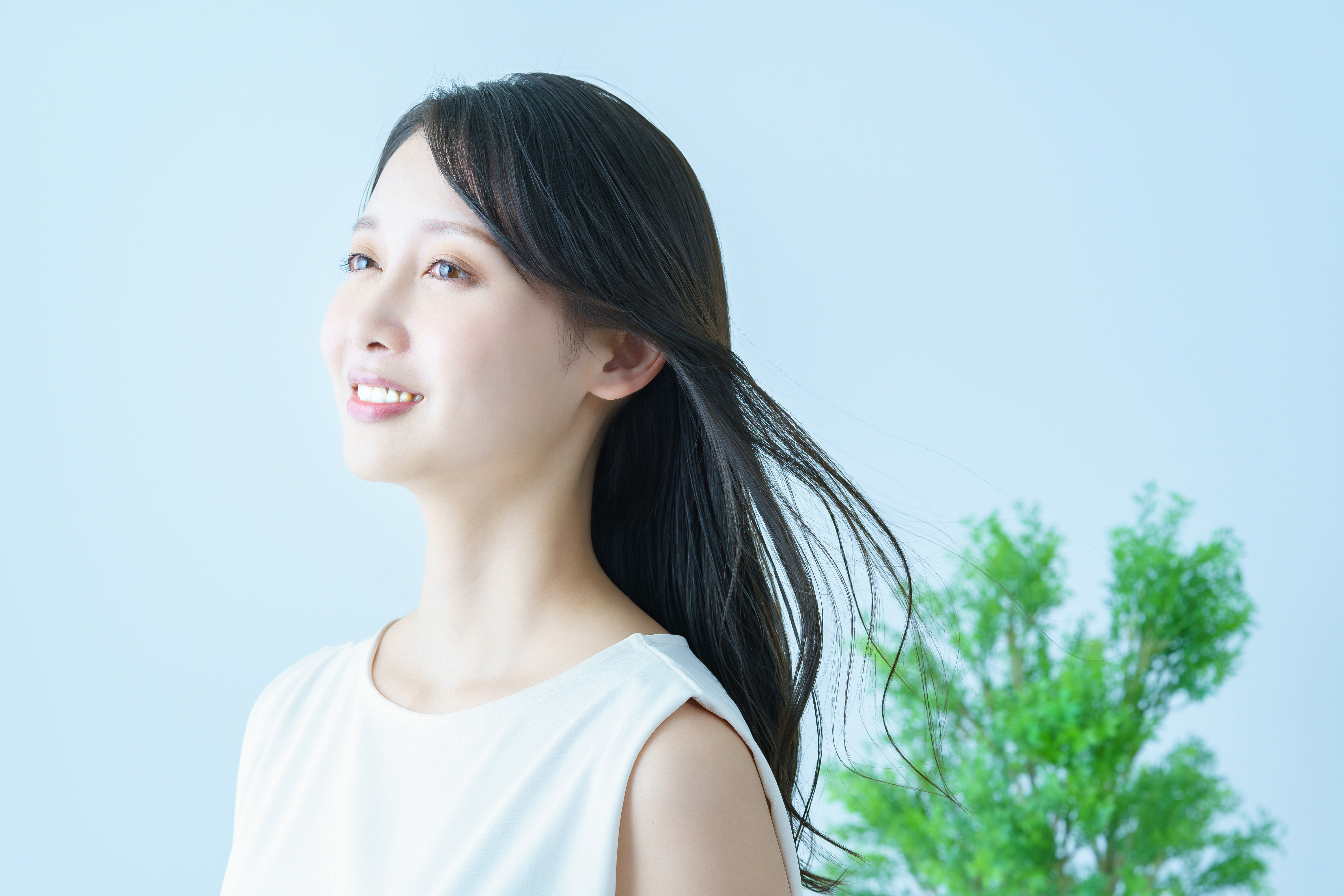 1.タイトル入ります