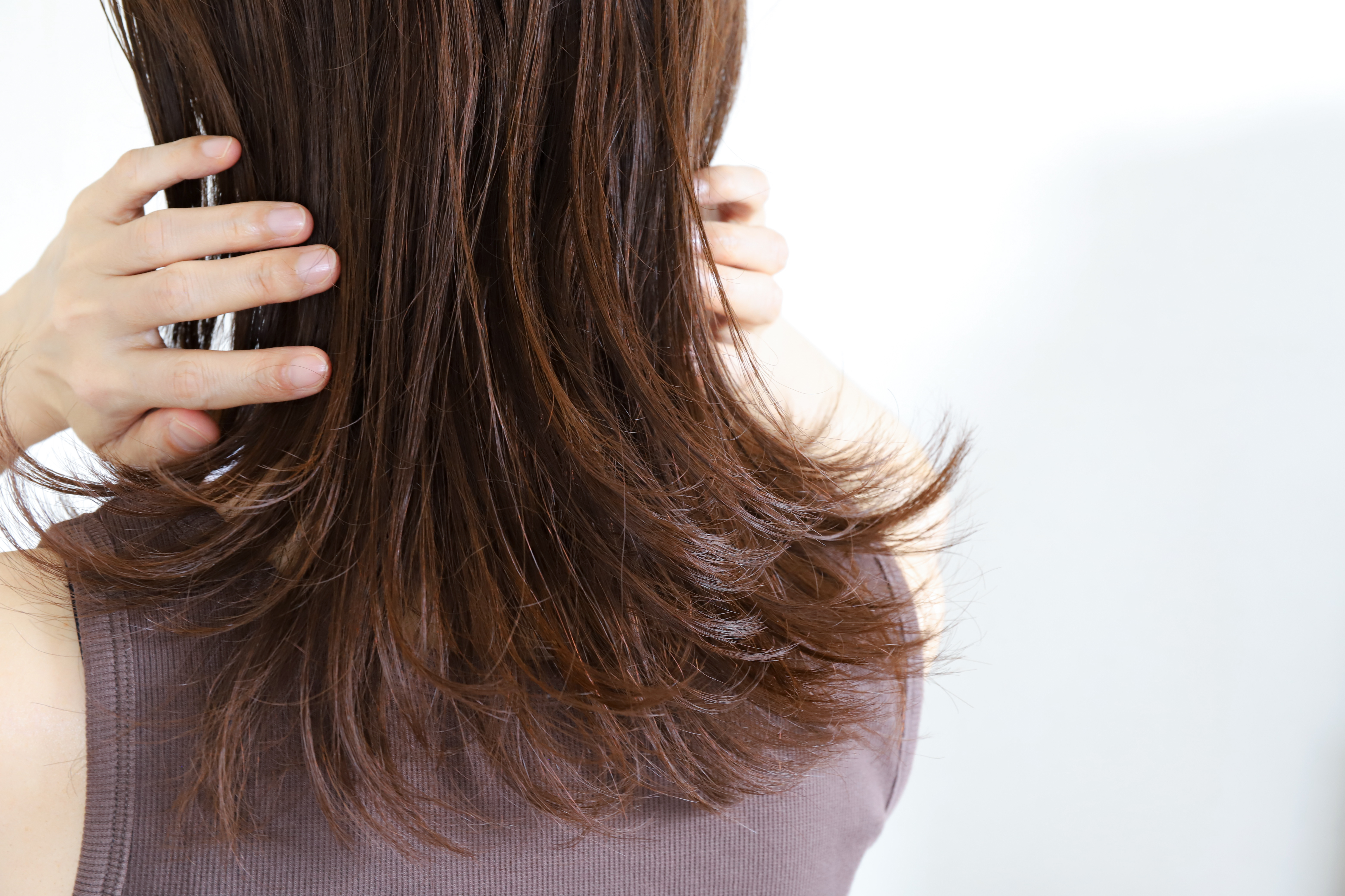 1.タイトル入ります