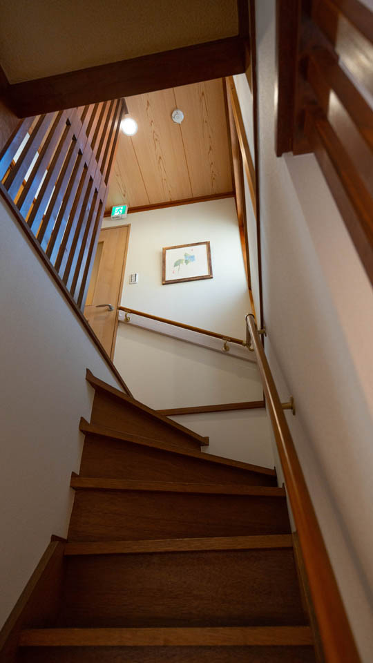 Gallery photo 11