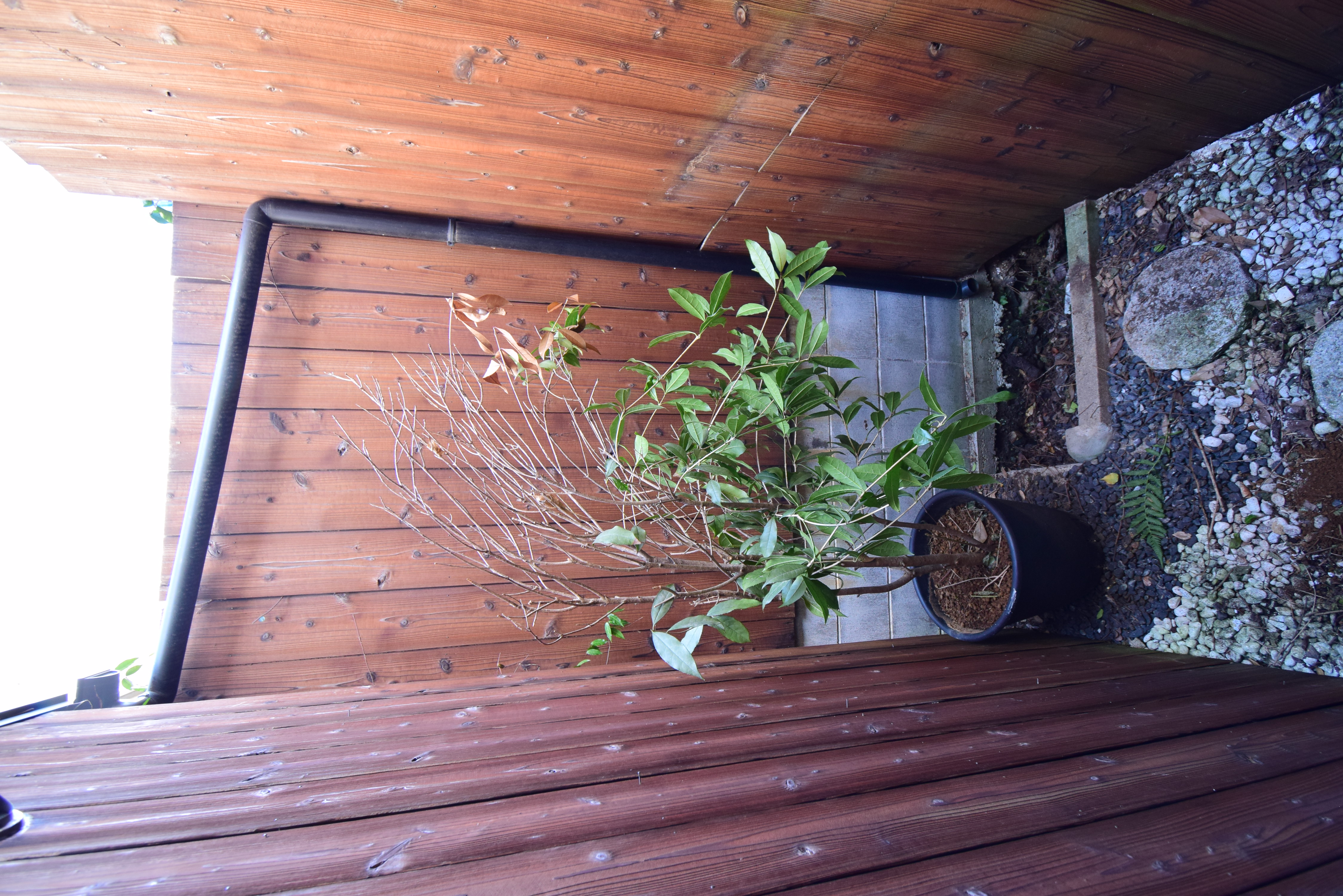 Gallery photo 12