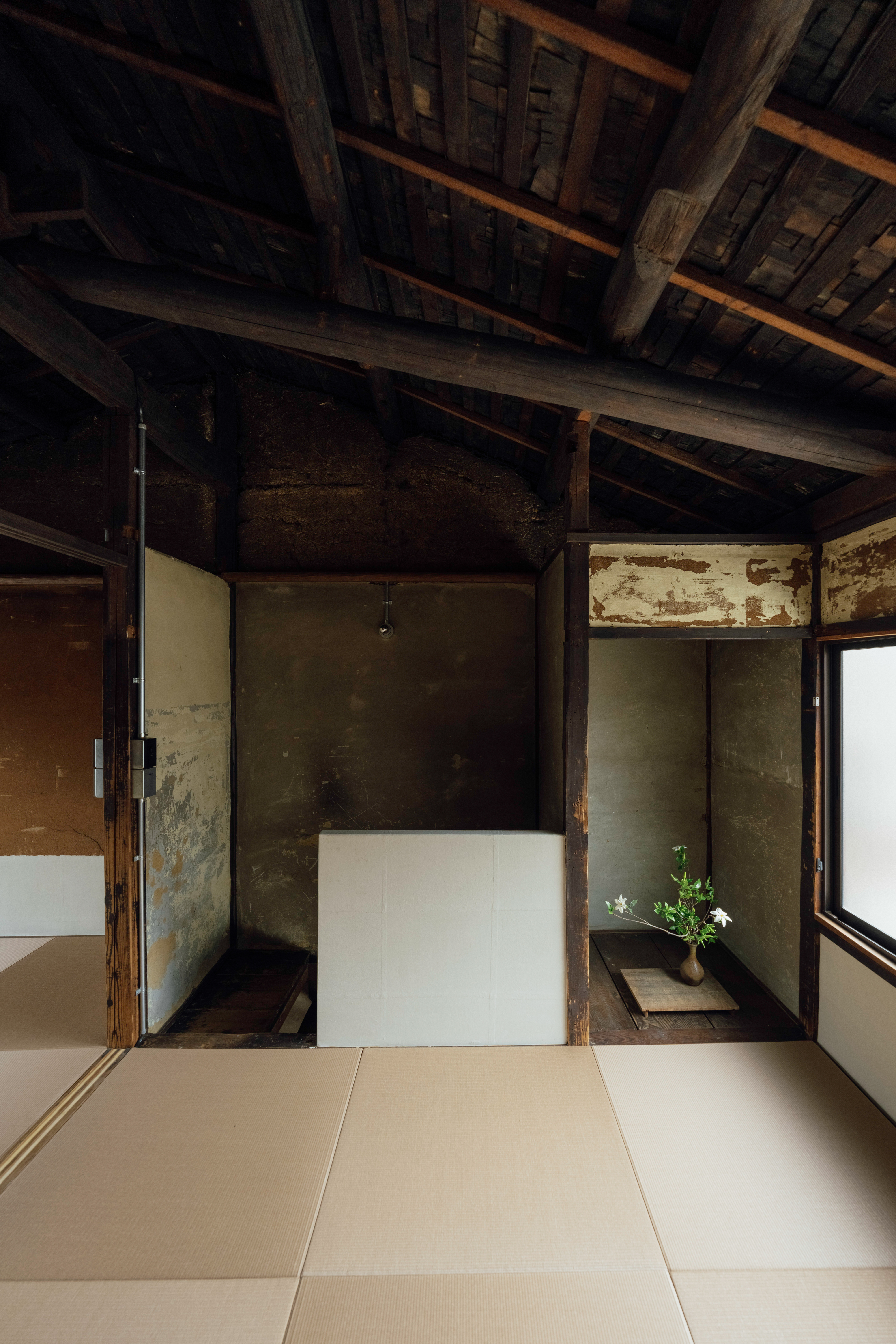 Gallery photo 16