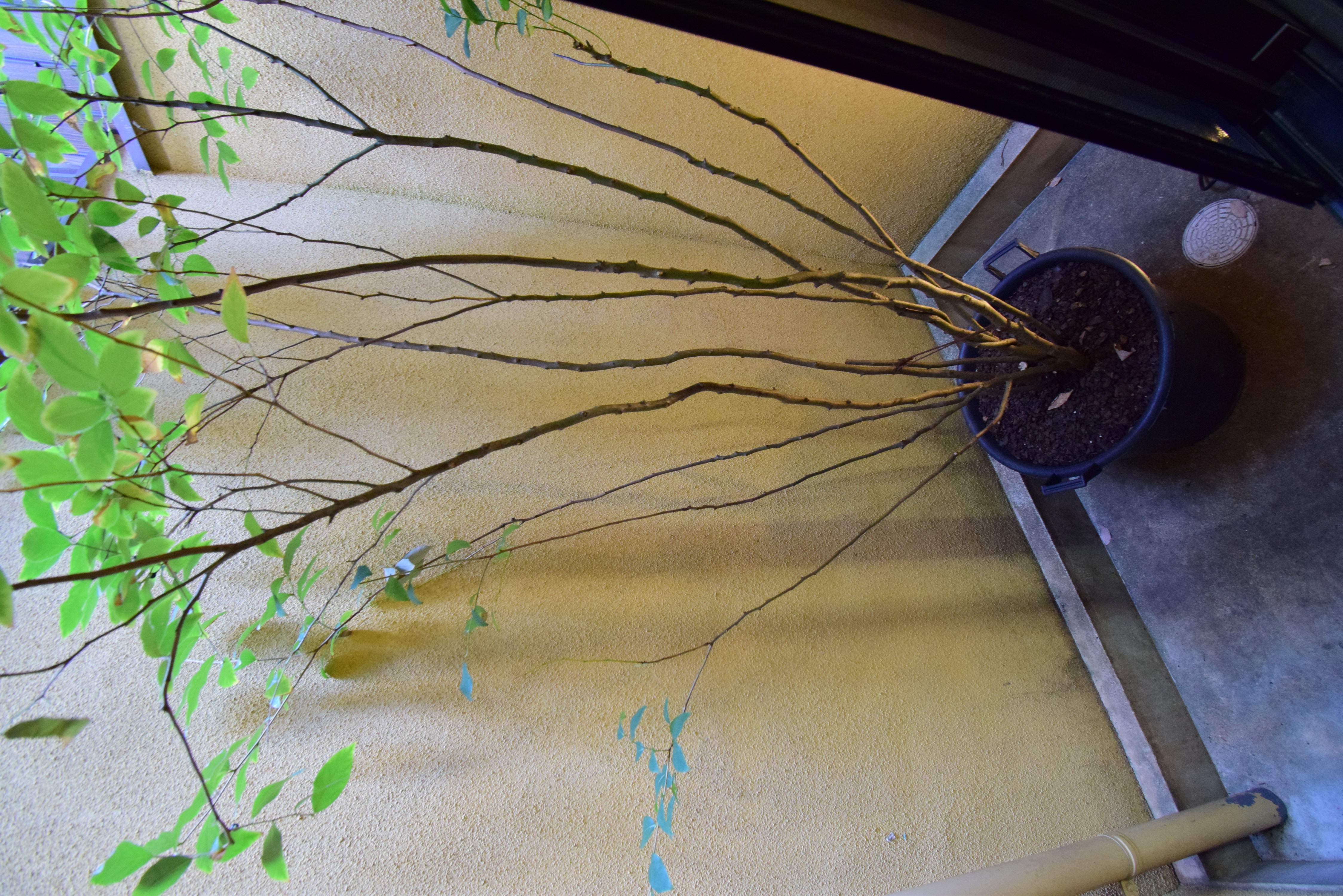Gallery photo 23
