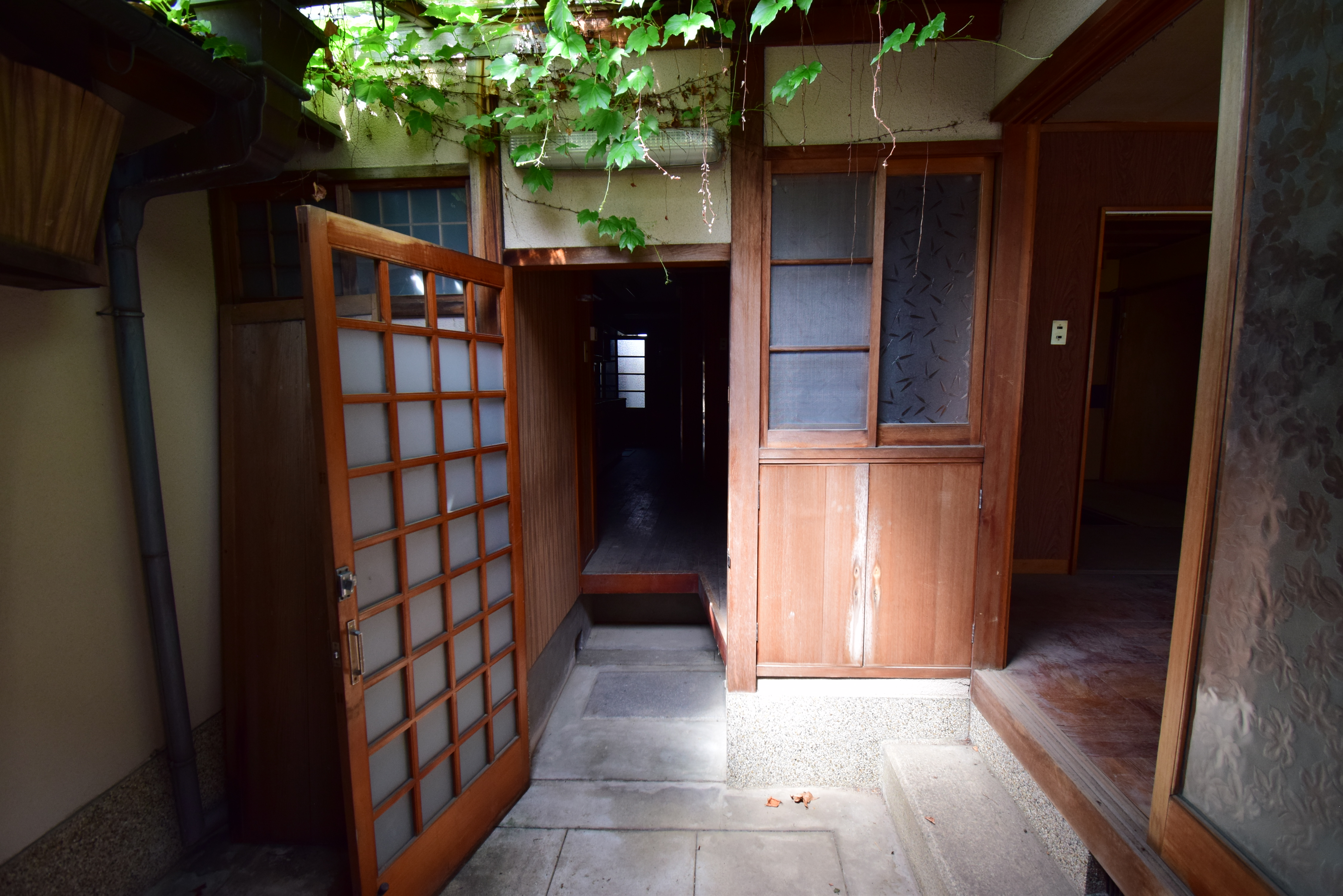 Gallery photo 4