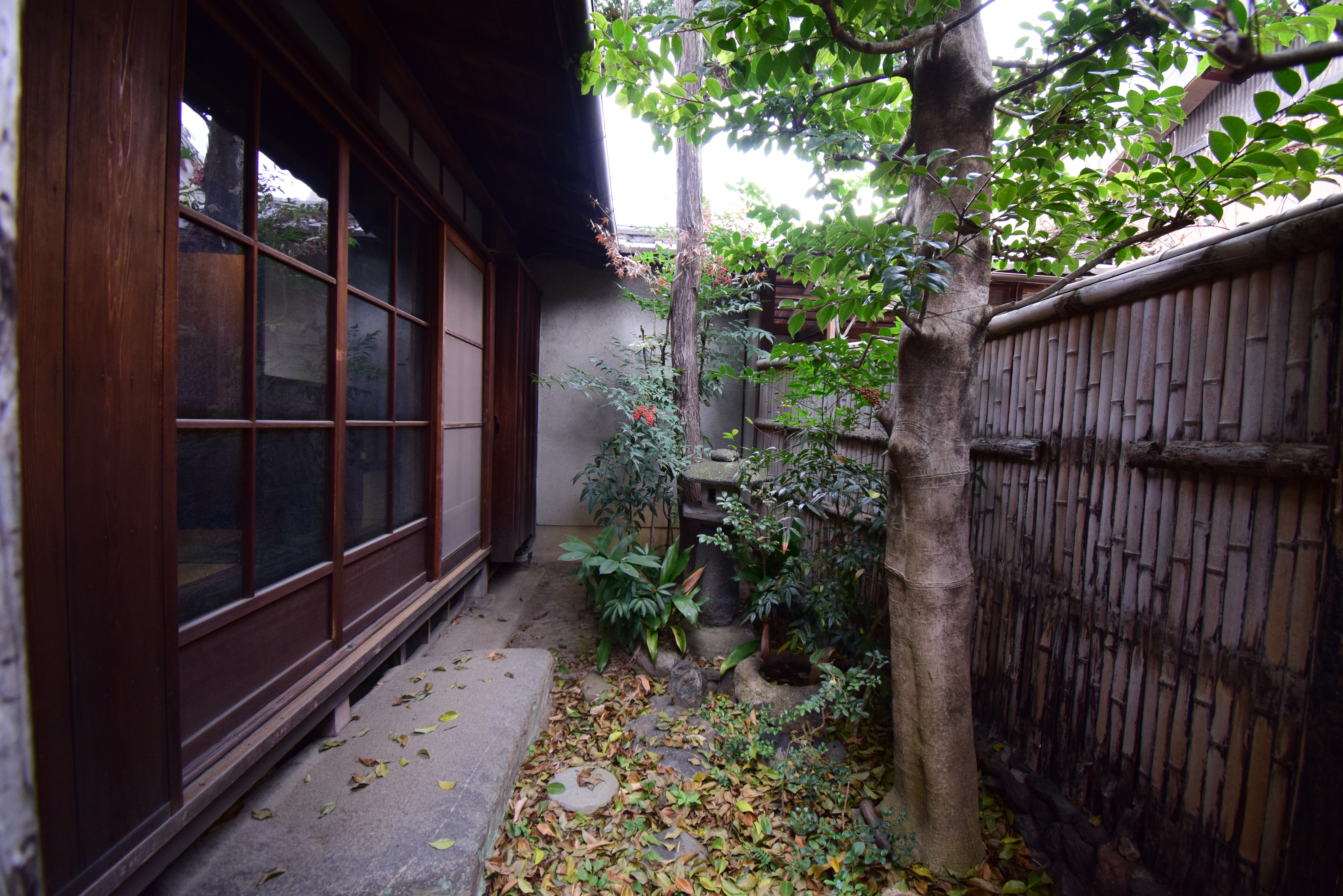Gallery photo 12