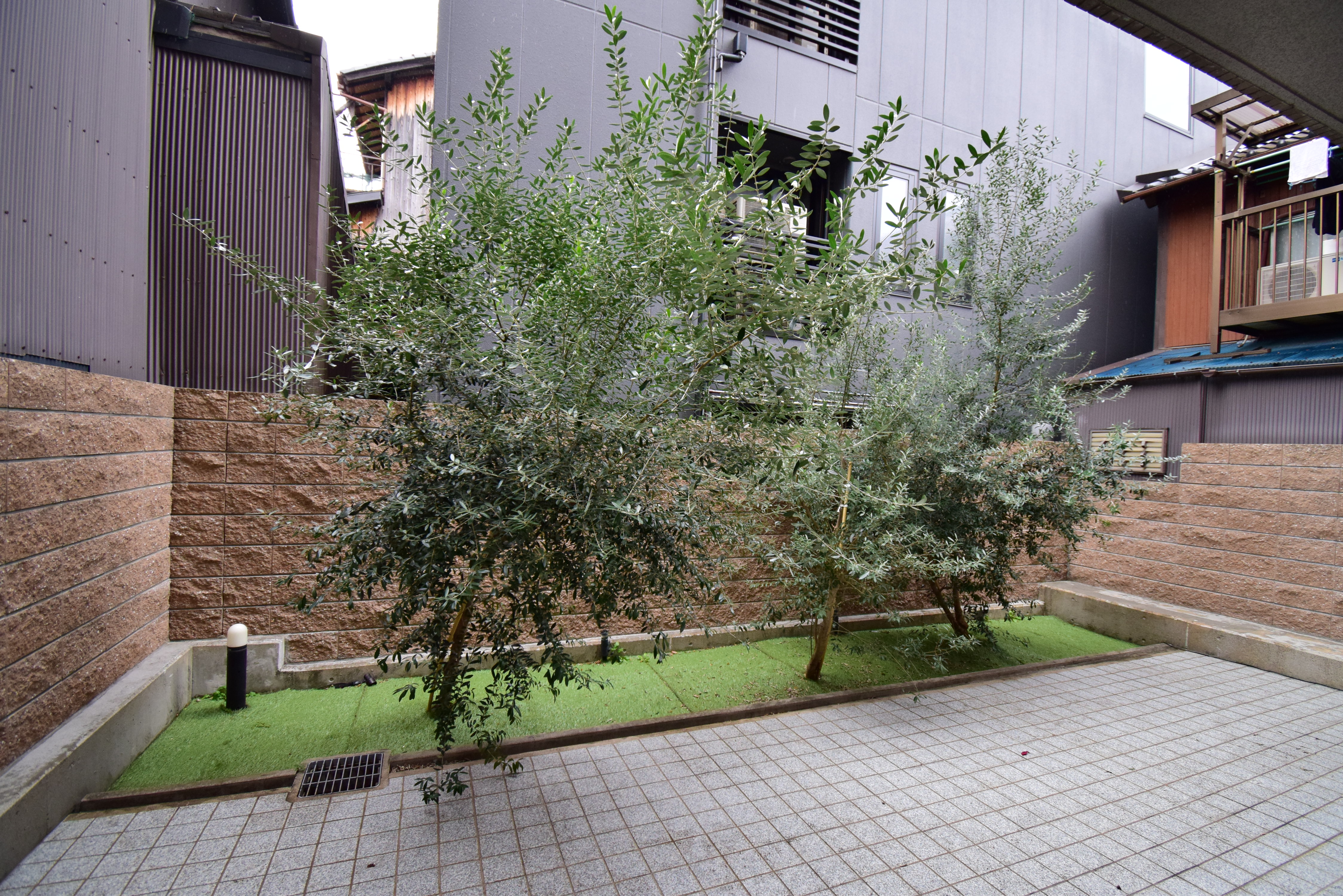 Gallery photo 10