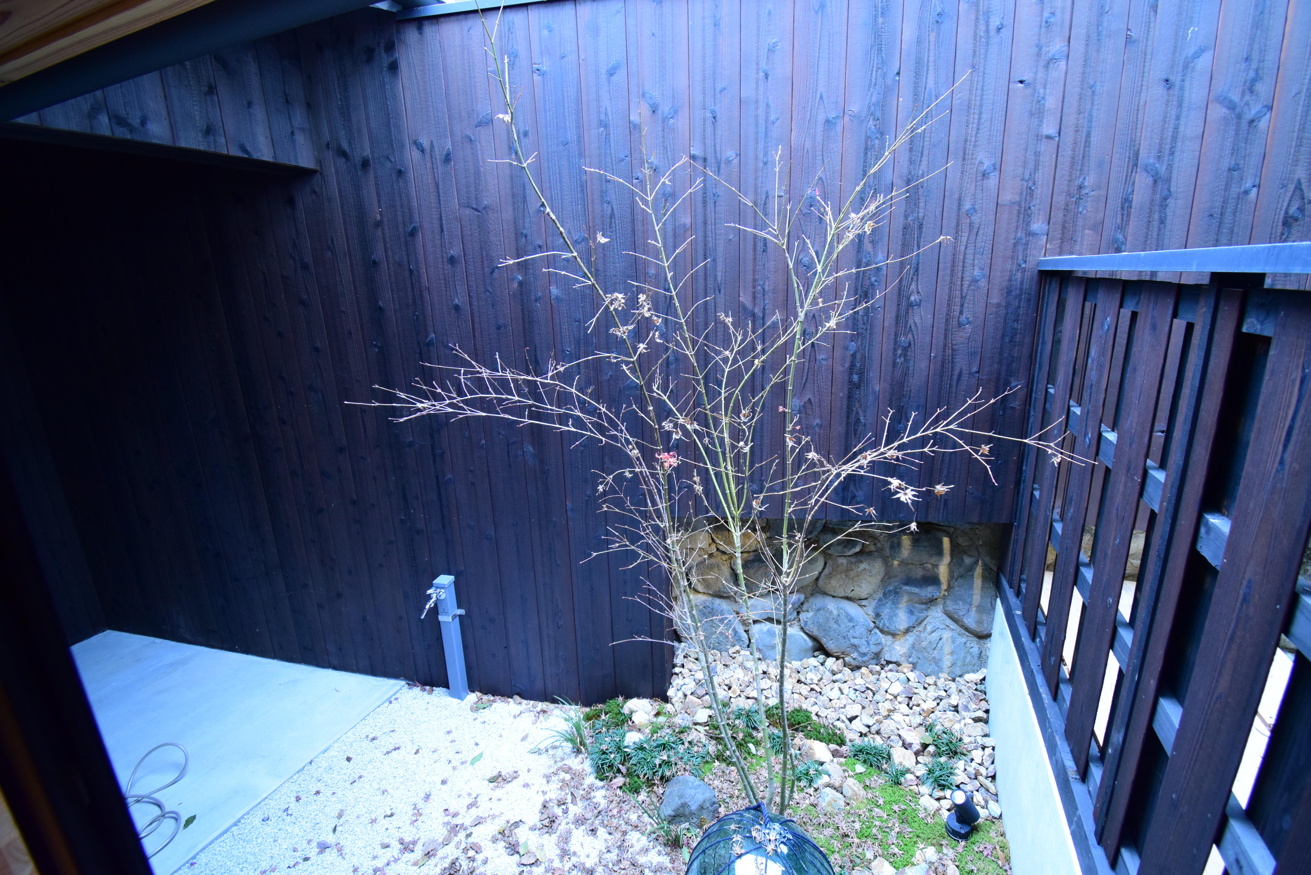 Gallery photo 11