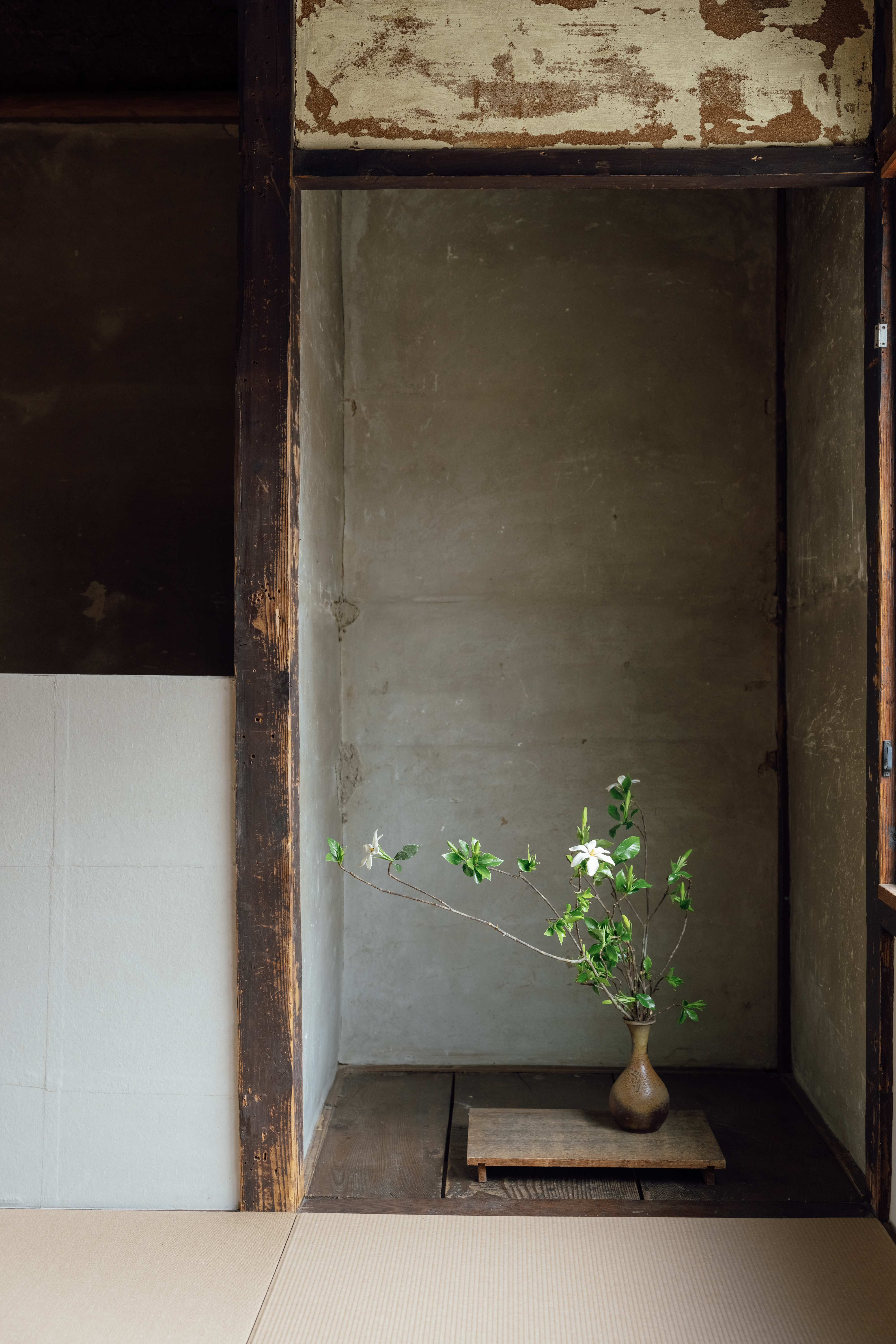 Gallery photo 14