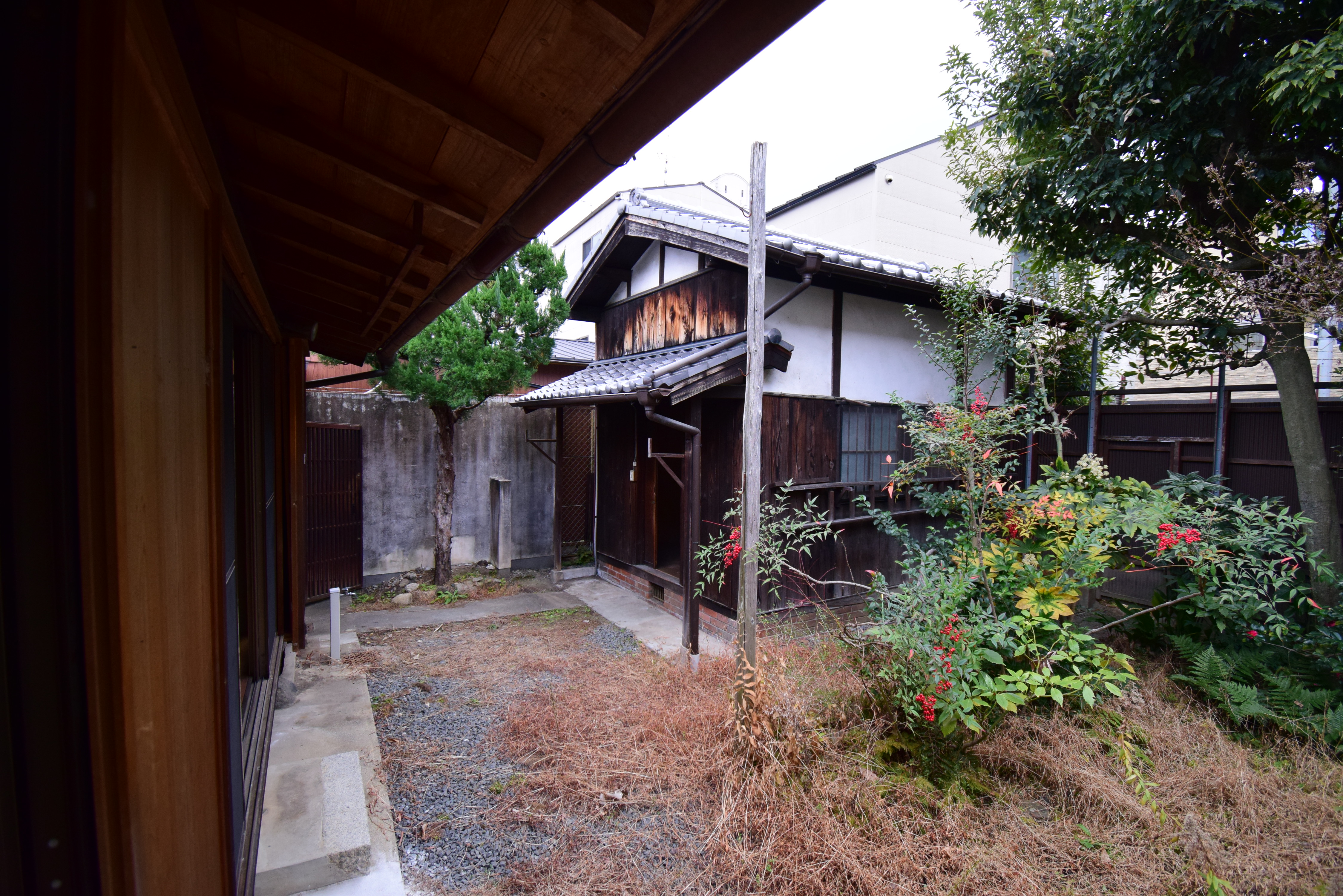 Gallery photo 24