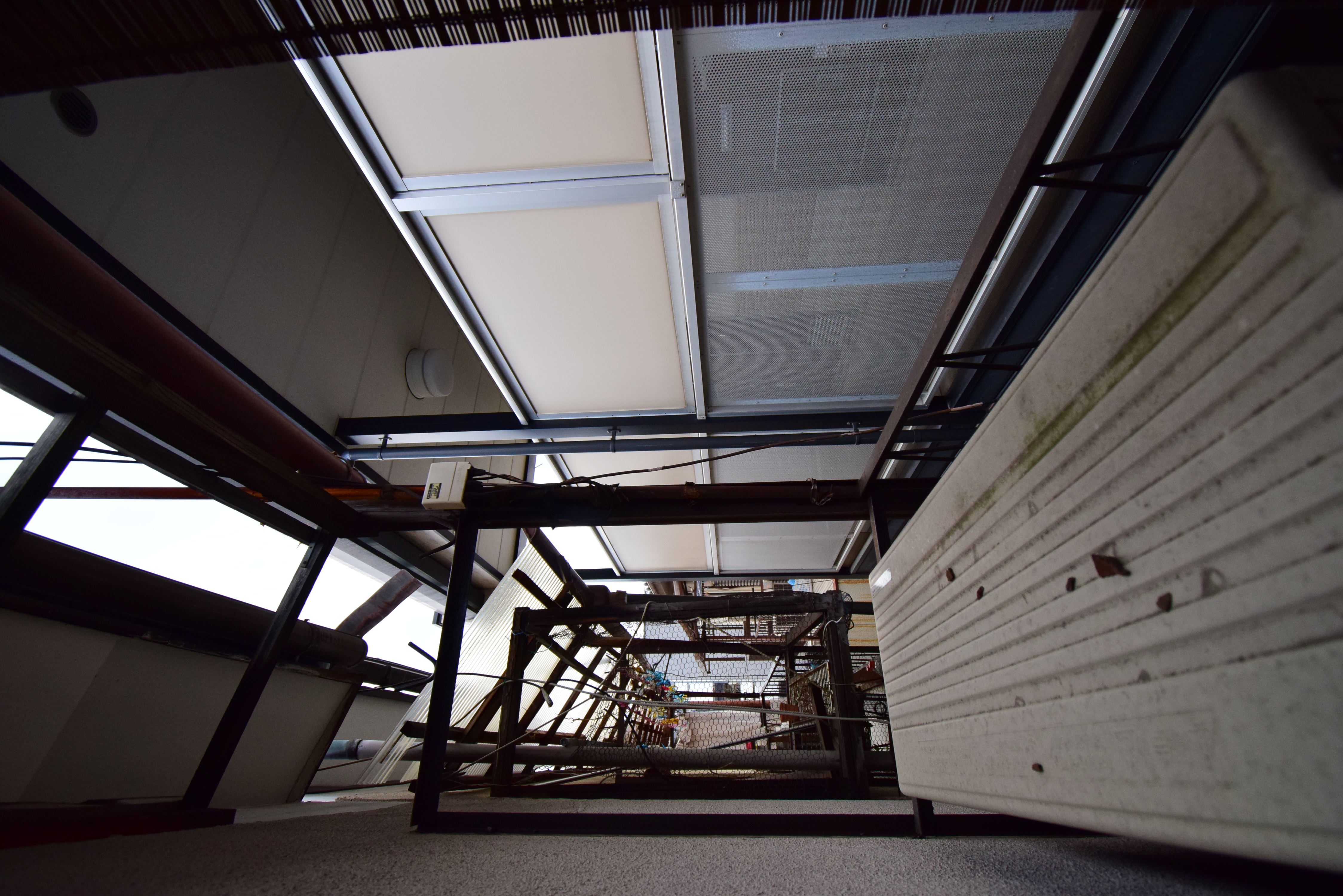 Gallery photo 11