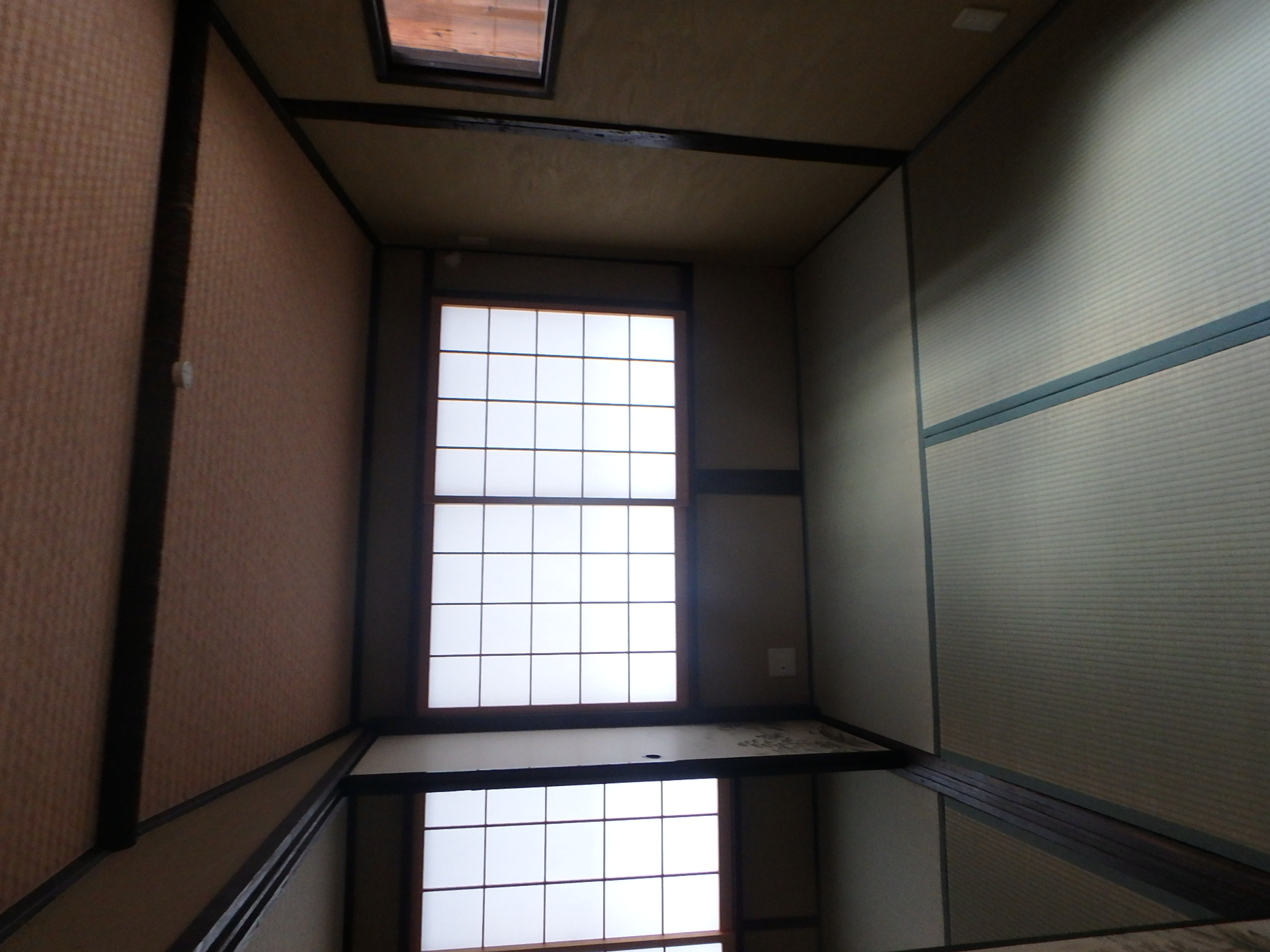 Gallery photo 12