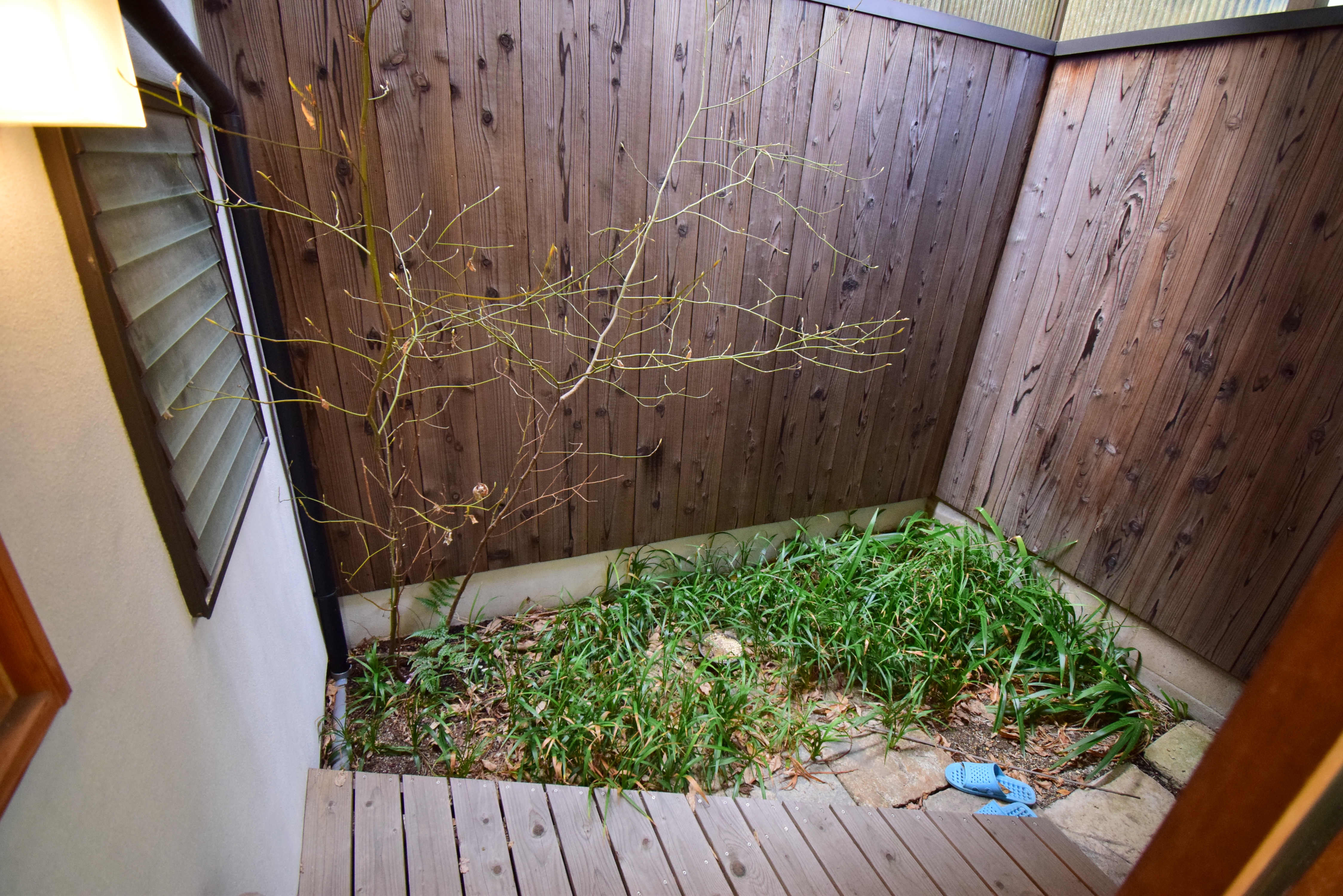 Gallery photo 17