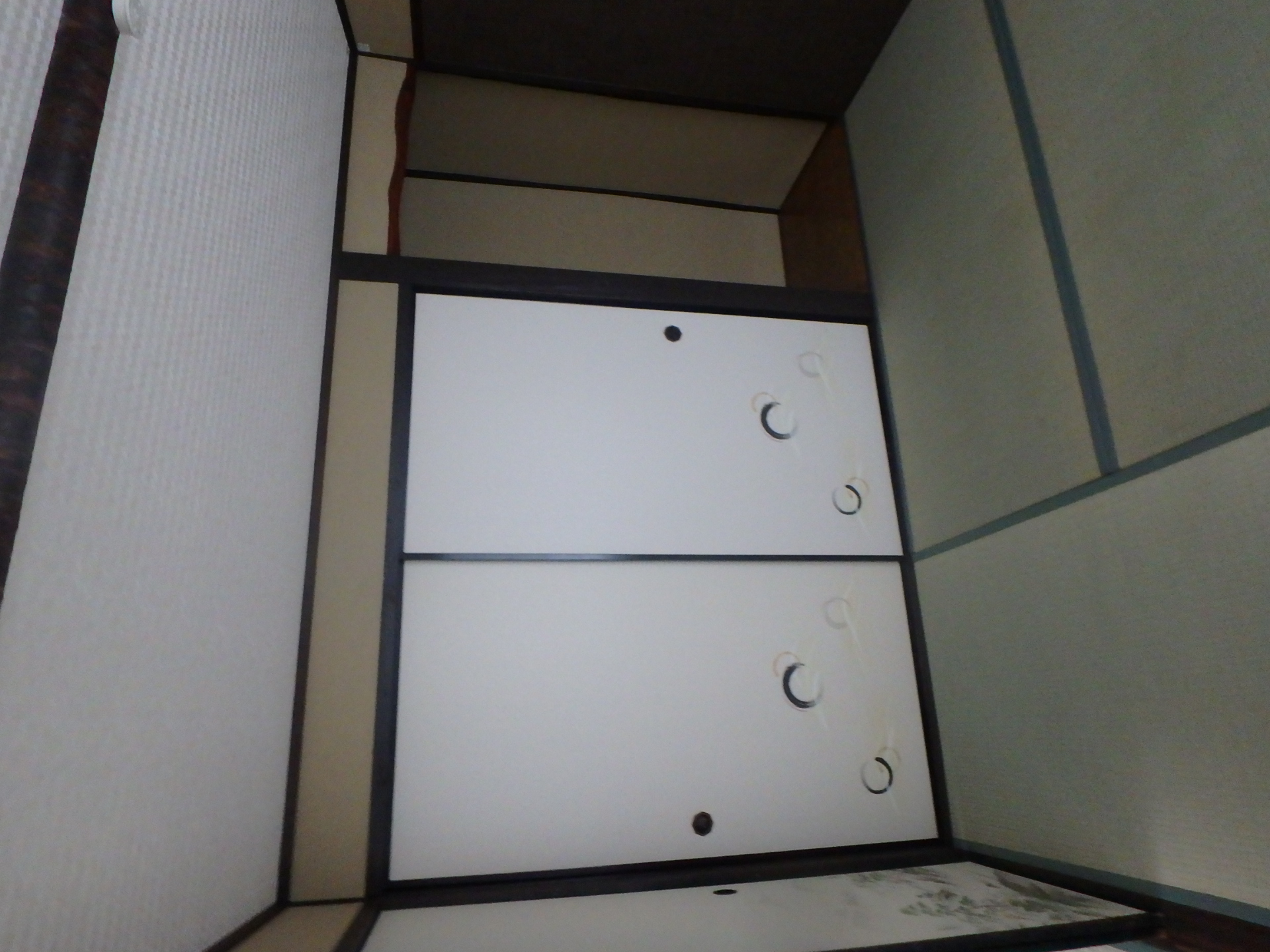 Gallery photo 15