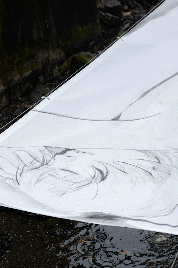 川辺に張られた白い布に描かれたドローイング
