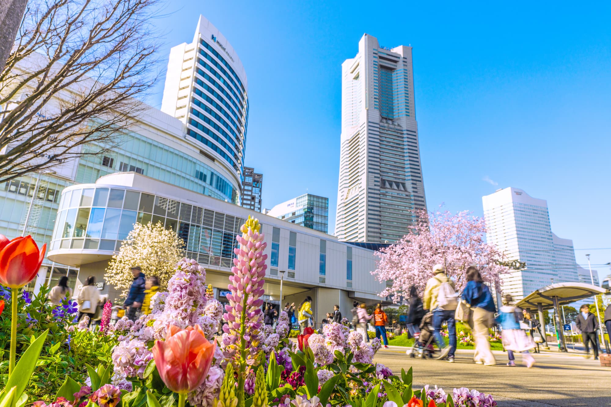 【横浜みなとみらい】おすすめのデートスポット