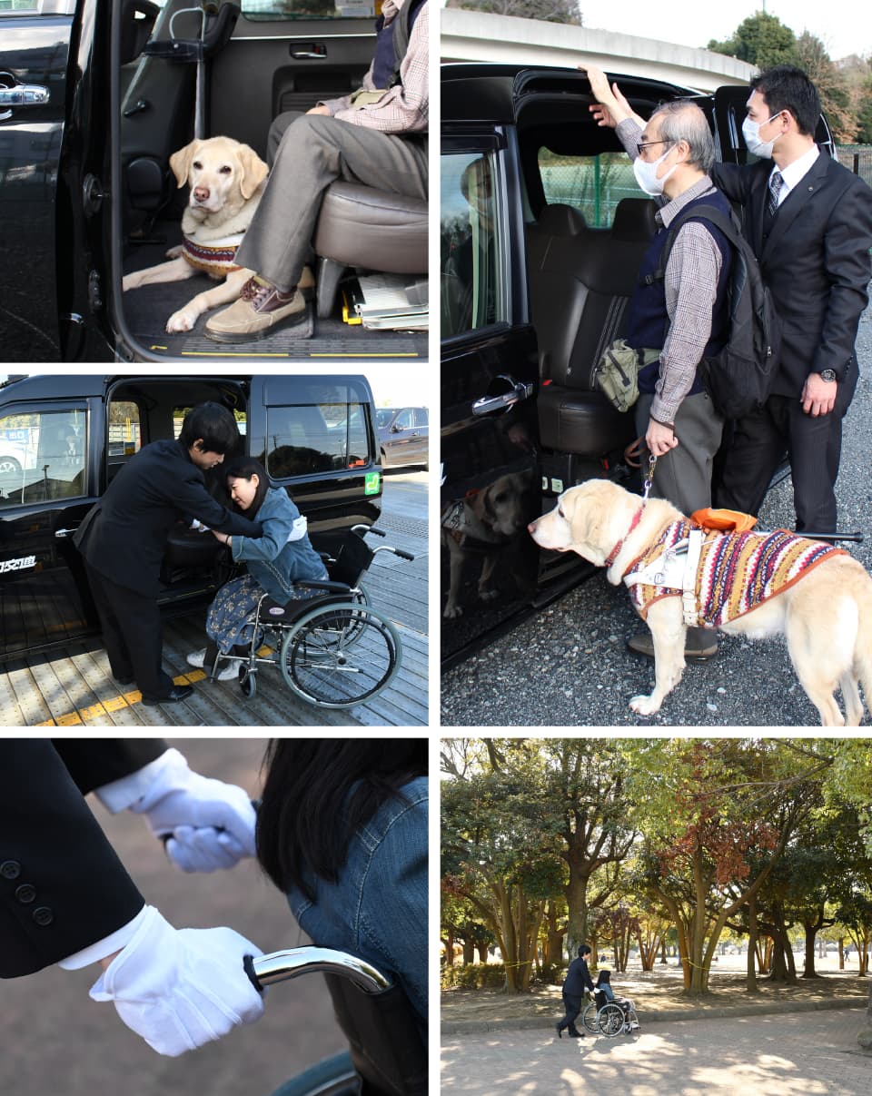 車いす・盲導犬全力応援プロジェクトとは？