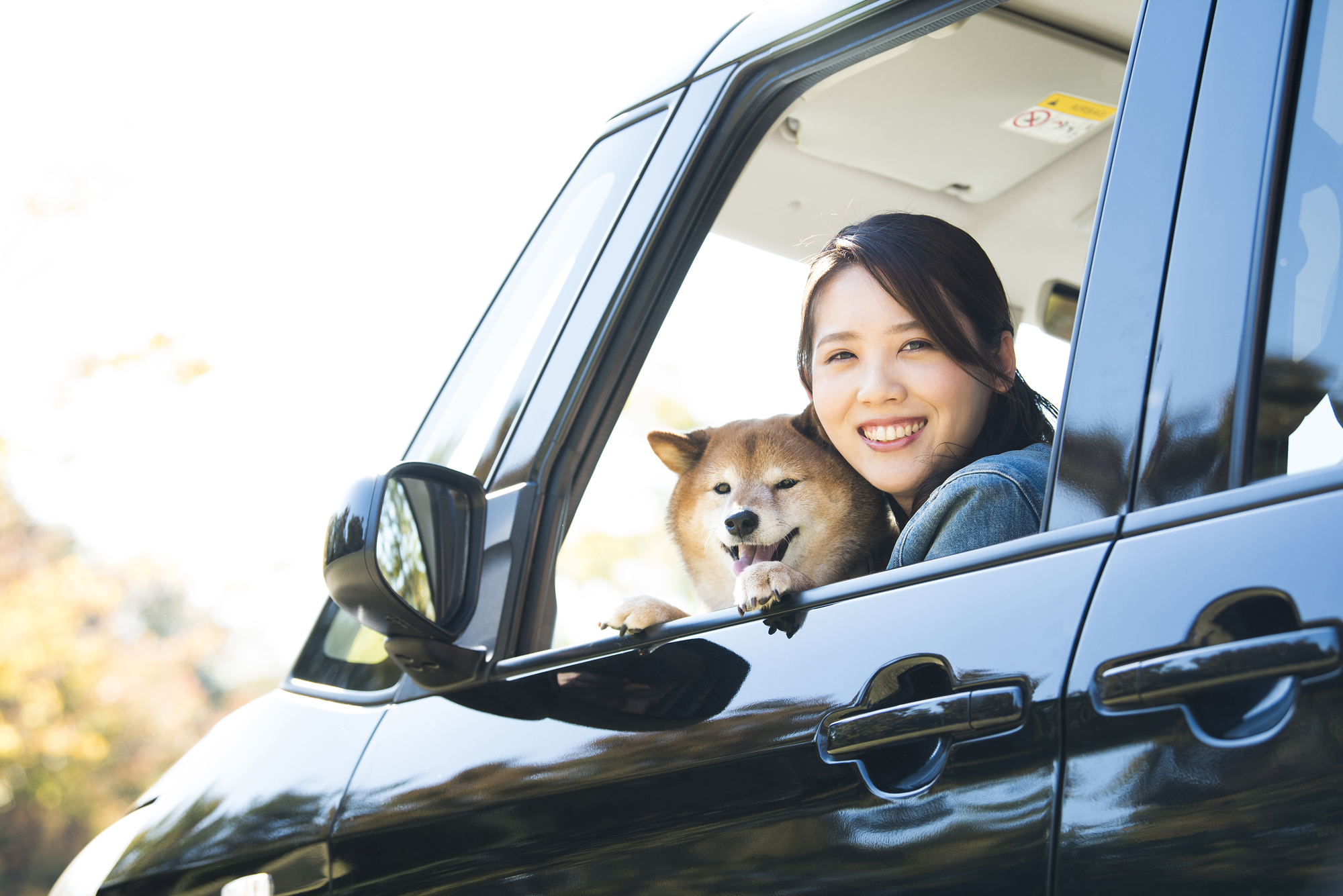 愛犬との長距離移動でペットタクシーを利用するメリット