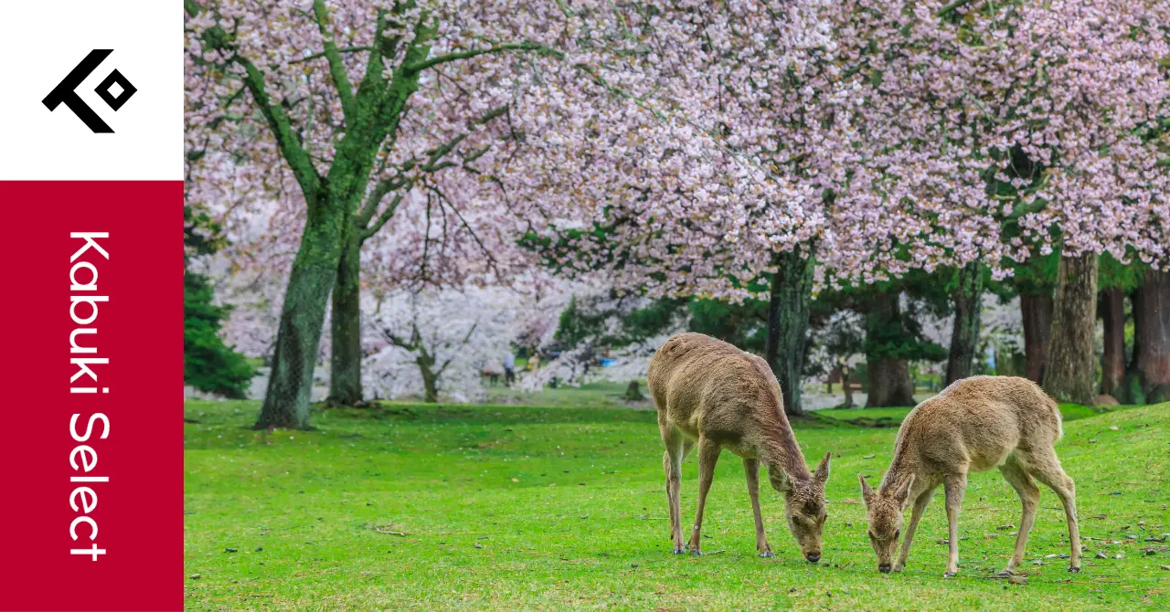 Your Ultimate Guide to Exploring Nara: A Historical Gem in Japan