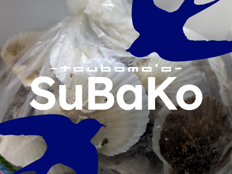 ホタテの稚貝を貰う、の巻