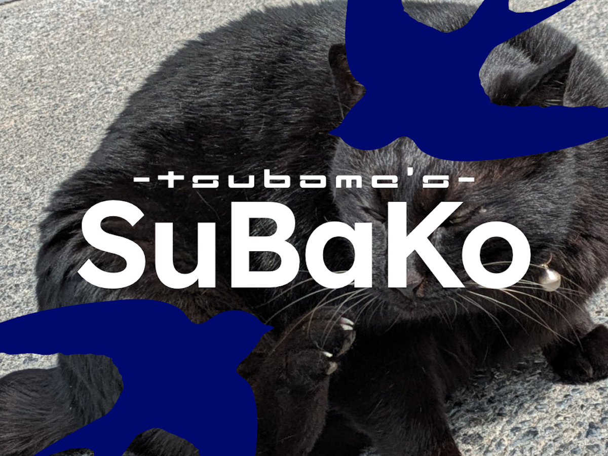 にゃんこ専務かわよい