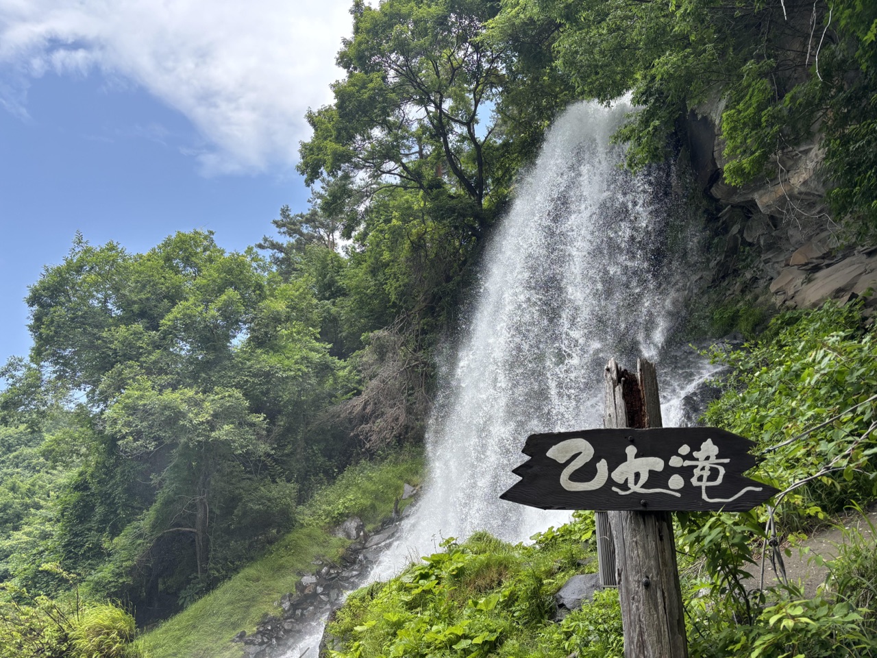 緑と空気に癒された旅~長野・蓼科のアイキャッチ画像