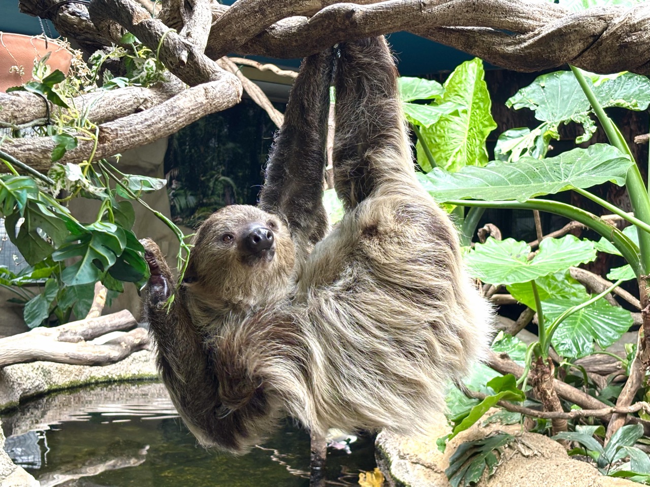 那須の自然と動物に癒される週末旅のアイキャッチ画像