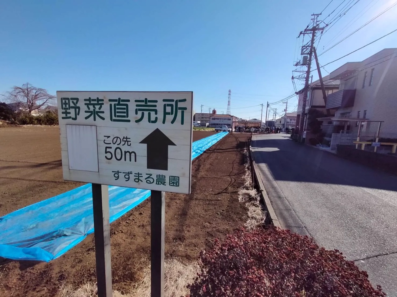 朝霞のすずまる農園に行ってきました！のアイキャッチ画像